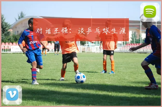 对话王强：谈乒乓球生涯