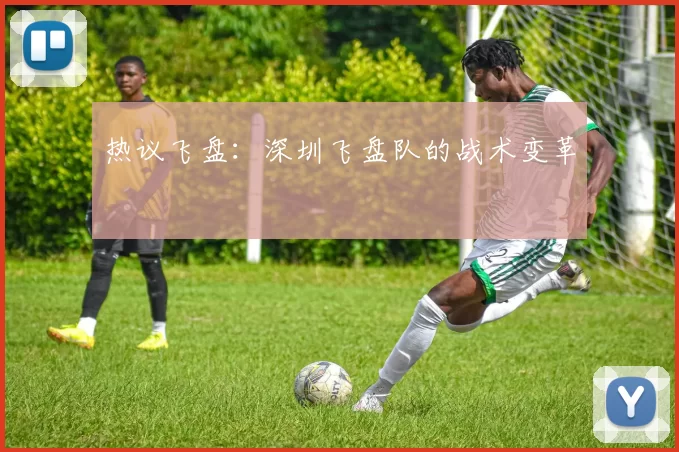 热议飞盘：深圳飞盘队的战术变革