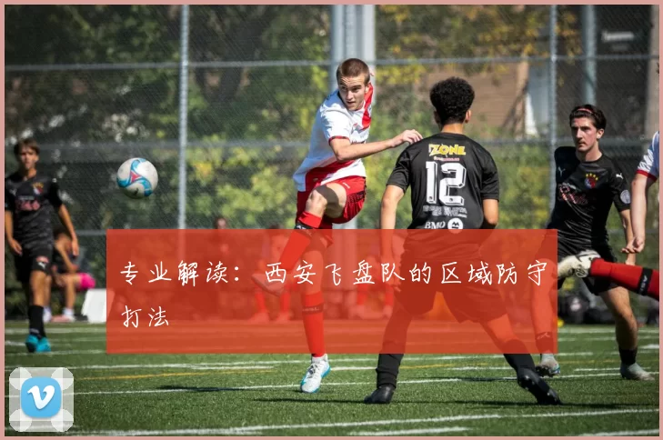 专业解读：西安飞盘队的区域防守打法
