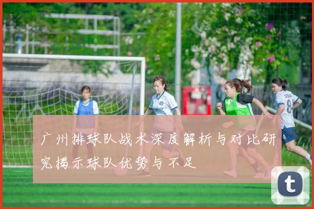 广州排球队战术深度解析与对比研究揭示球队优势与不足