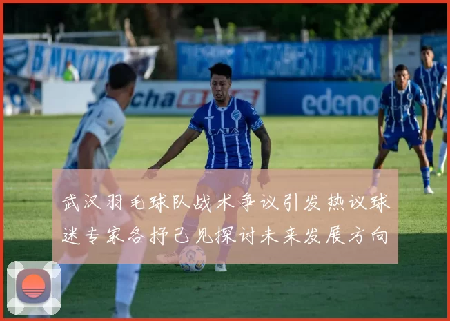 武汉羽毛球队战术争议引发热议球迷专家各抒己见探讨未来发展方向