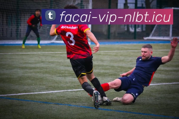 星空体育平台生态图