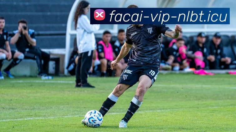 星空体育全站App